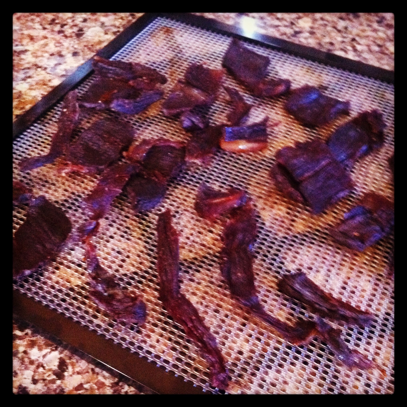 The Natural Mama Dehydrators and Beef Jerky