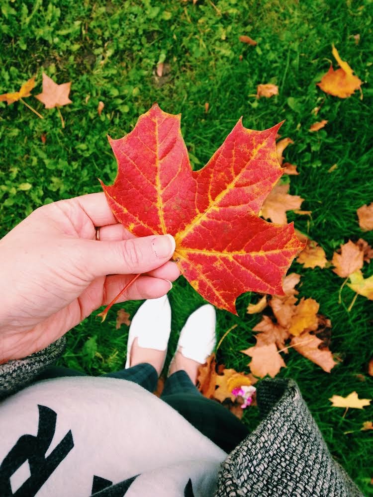 My Favorite Things About Autumn/ Fall