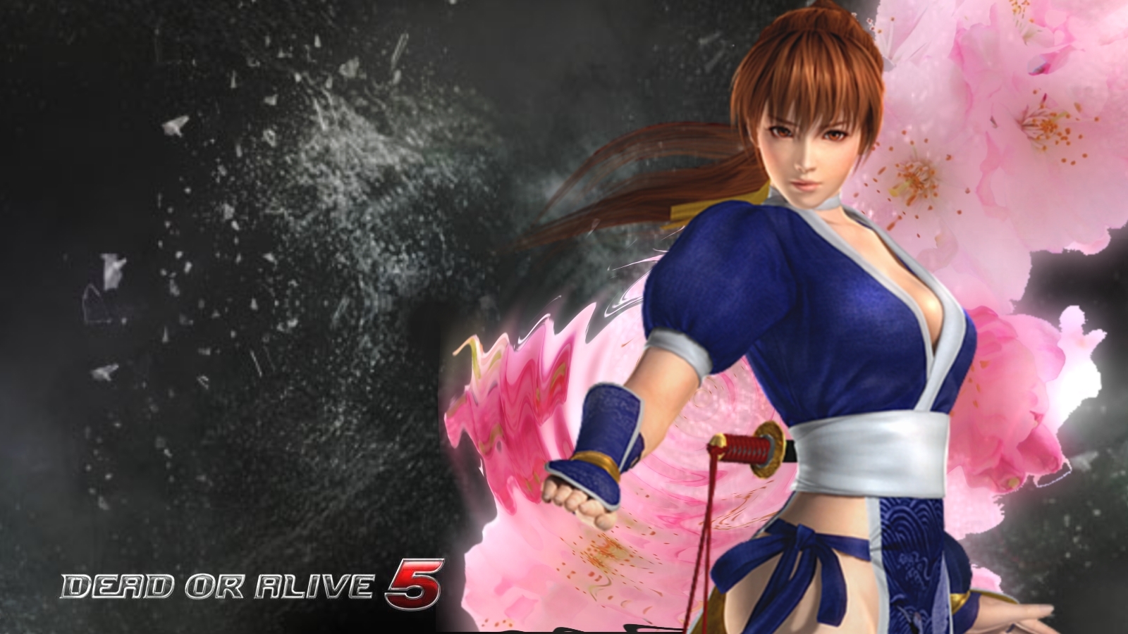 The Elderly Gamer Dead Or Alive 5 Character Wallpaper