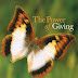 The Power of Giving