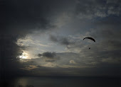 Parahawking