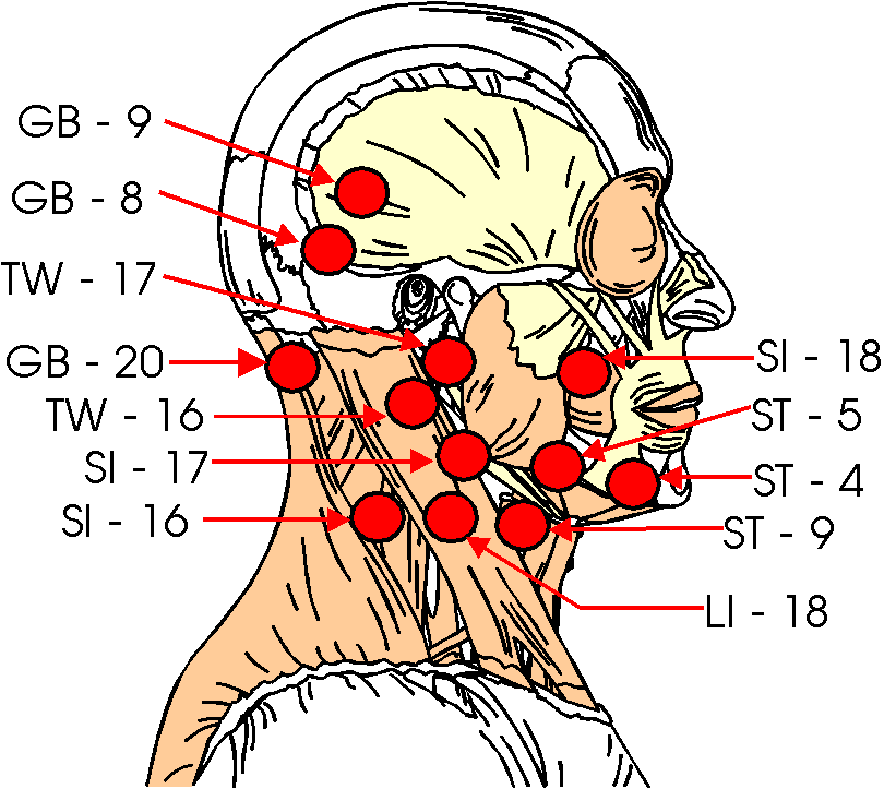 artes marciales del mundo kyusho y kiko de okinawa knockout pressure points chart