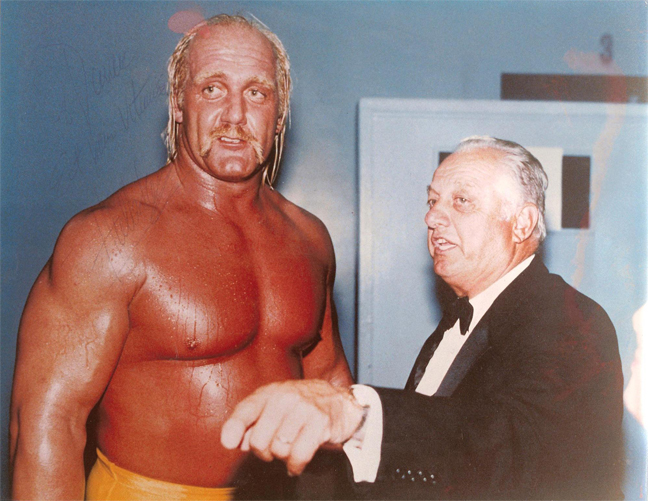 hulk hogan theme hulk hogan theme