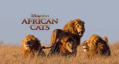 African Cats Movie