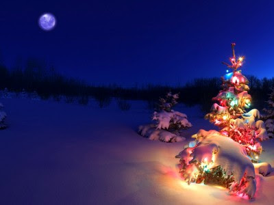 Christmas Tree 2016 Christmas Tree 2016