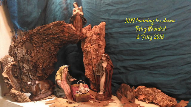 Feliz Navidad & Feliz 2016. Los mejores deseos de SDS training