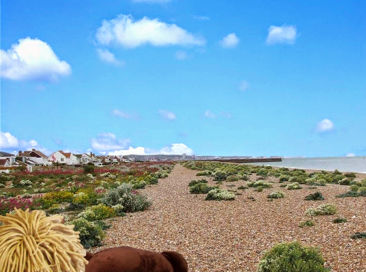 Adventures of Ed the Bear Shoreham Beach