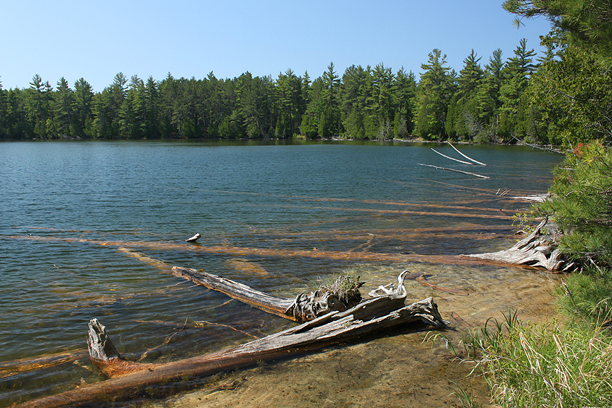 The Rambling Wren Trapper's Lake, Pictured Rocks National Lakeshore