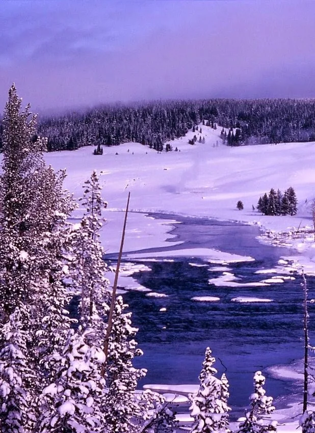 Yellowstone Park During the winter,USA
