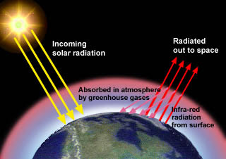 gases, called greenhouse