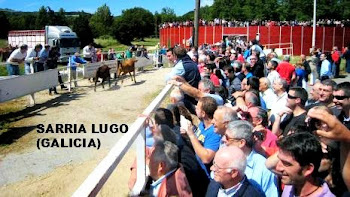 SARRIA LUGO ENCIERRO