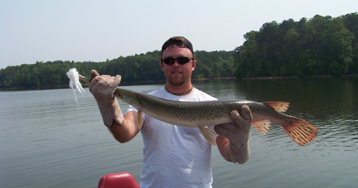West Point Lake Gar Grabbers West Point Lake Gar Fishing Jeff Snags