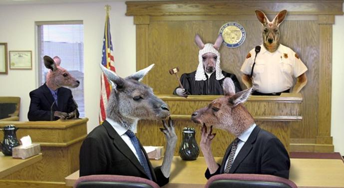 kangaroo-court%2B%25281%2529.jpg