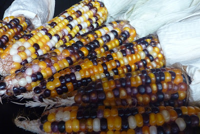 glass bead corn glass bead corn