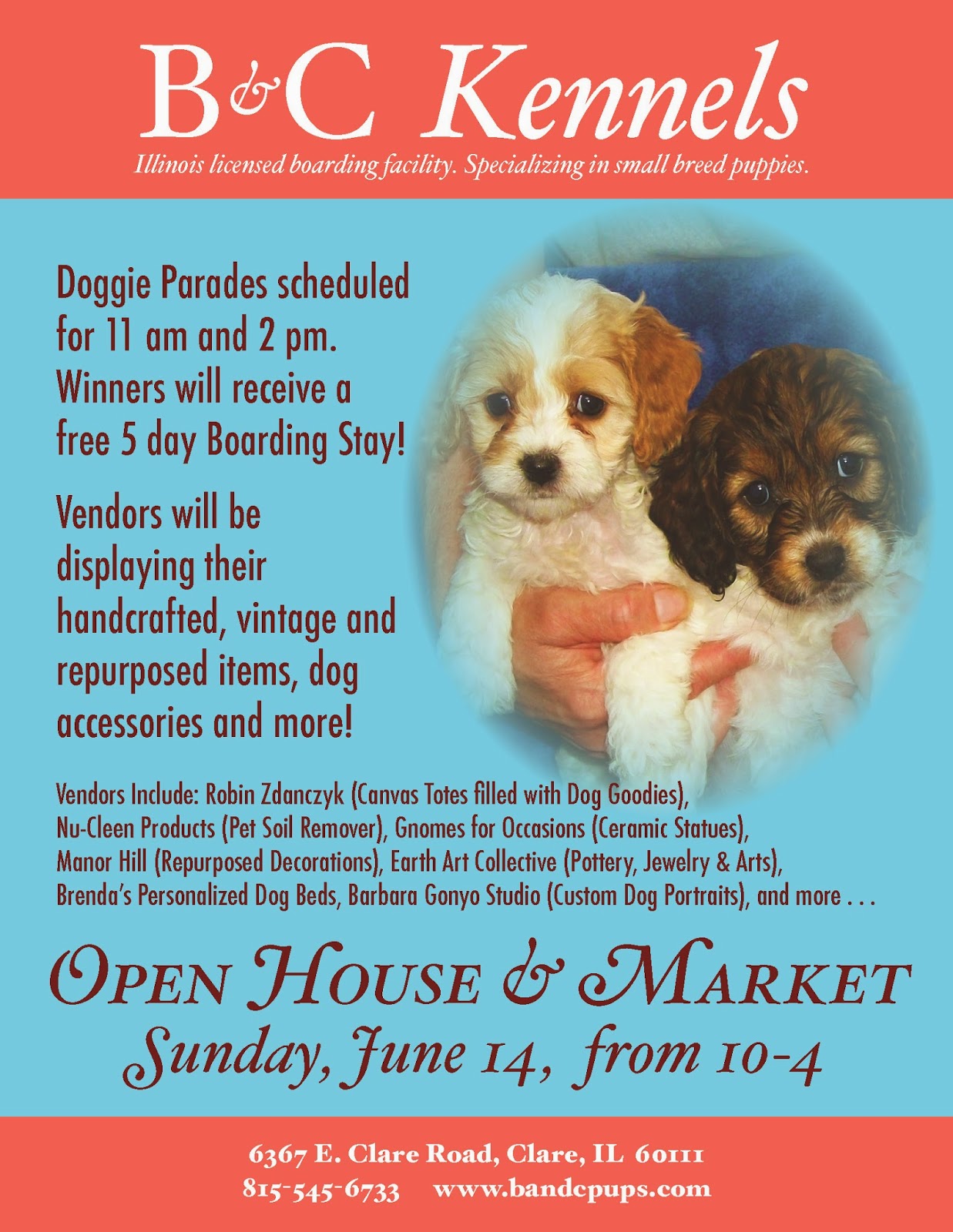 b c kennels may 2015 dog boarding flyer