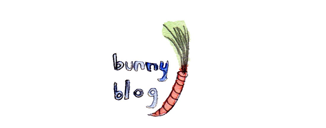 bunny blog