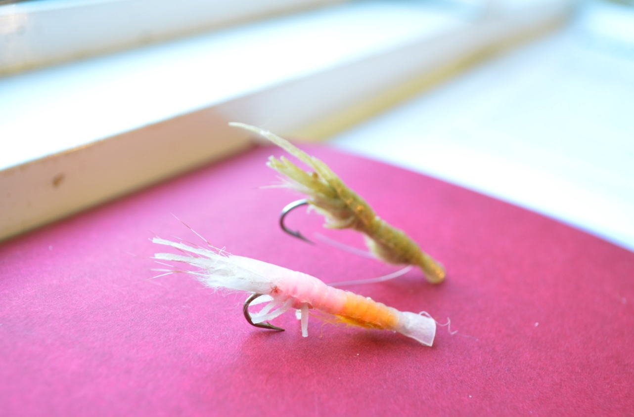 born to fly fish Grunter Flies