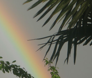 Sognare un arcobaleno Arcobaleno