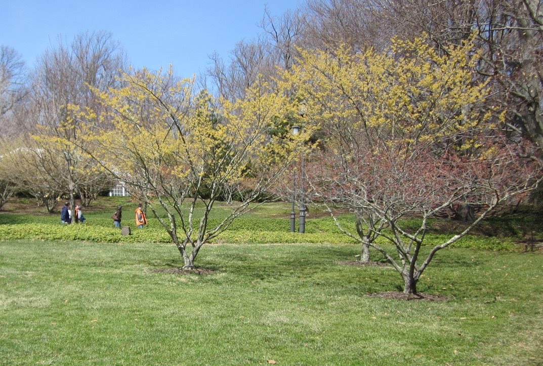 Princess Pelagie Yussuf