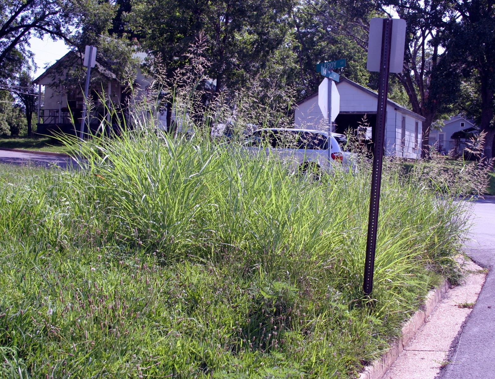 City of Rolla, Missouri City urges residents and businesses to