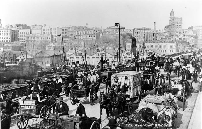 Image result for horses in New York city