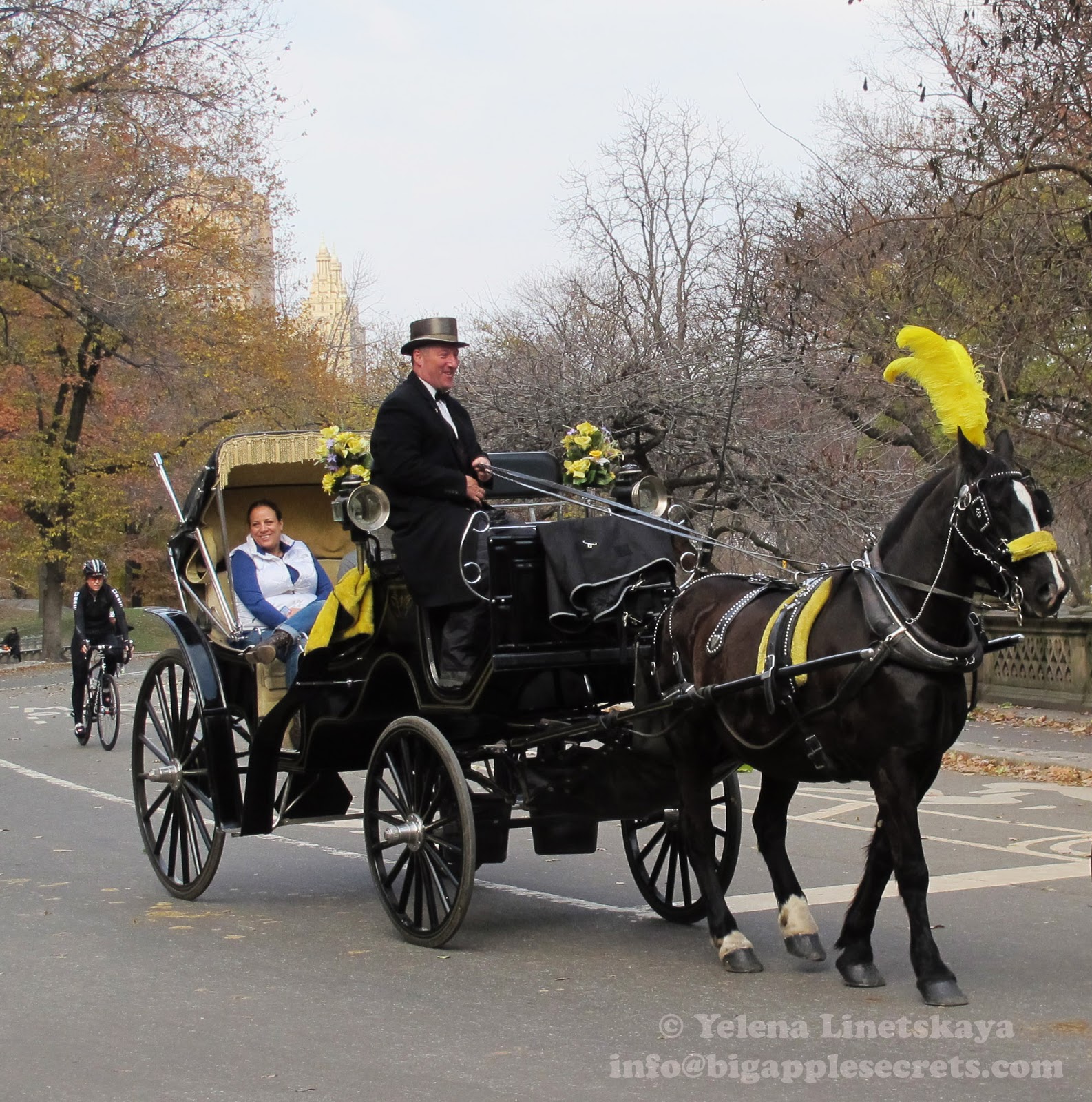Secrets Of Central Park: The Shocking Number Of Bodies Discovered - yx544l4