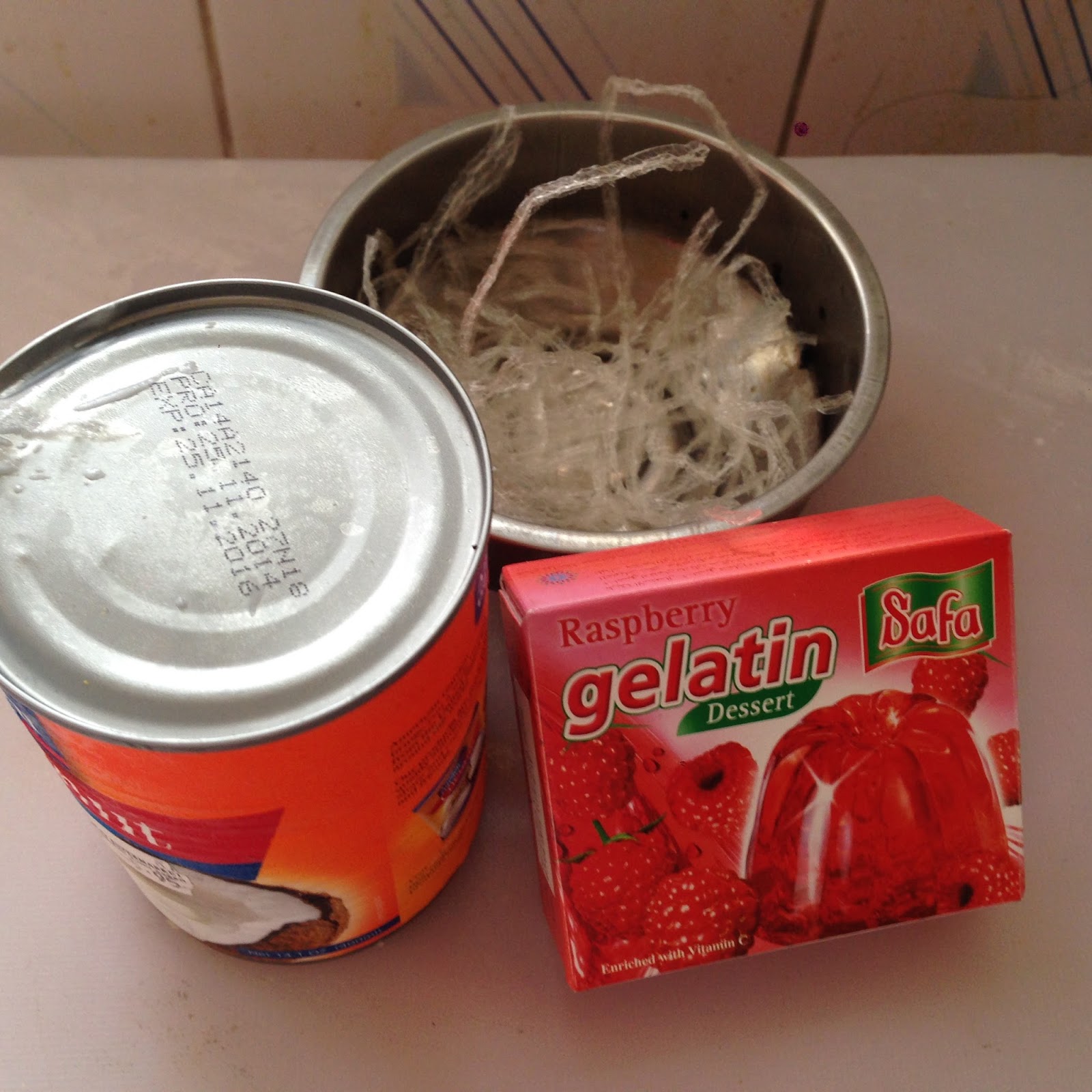 Nila's Cuisine Coconut Jello Fudge/ Coconut Jello Shots