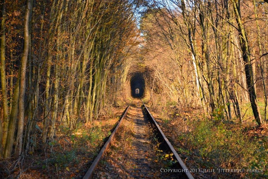 tunnel of love essay I love this essay by bob whitcomb a tunnel is a common metaphor for going through a difficult stretch, which in boston (and some other big cities) might mean paying for the corruption and cost-overruns that tend to accompany tunnels’ construction. tunnel of love essay I love this essay by bob whitcomb a tunnel is a common metaphor for going through a difficult stretch, which in boston (and some other big cities) might mean paying for the corruption and cost-overruns that tend to accompany tunnels’ construction.