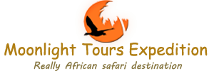 Moonlight Tours Expedition