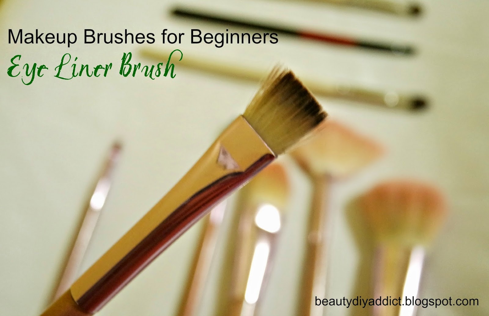 Beauty DIY Addict Makeup Brushes for Beginners