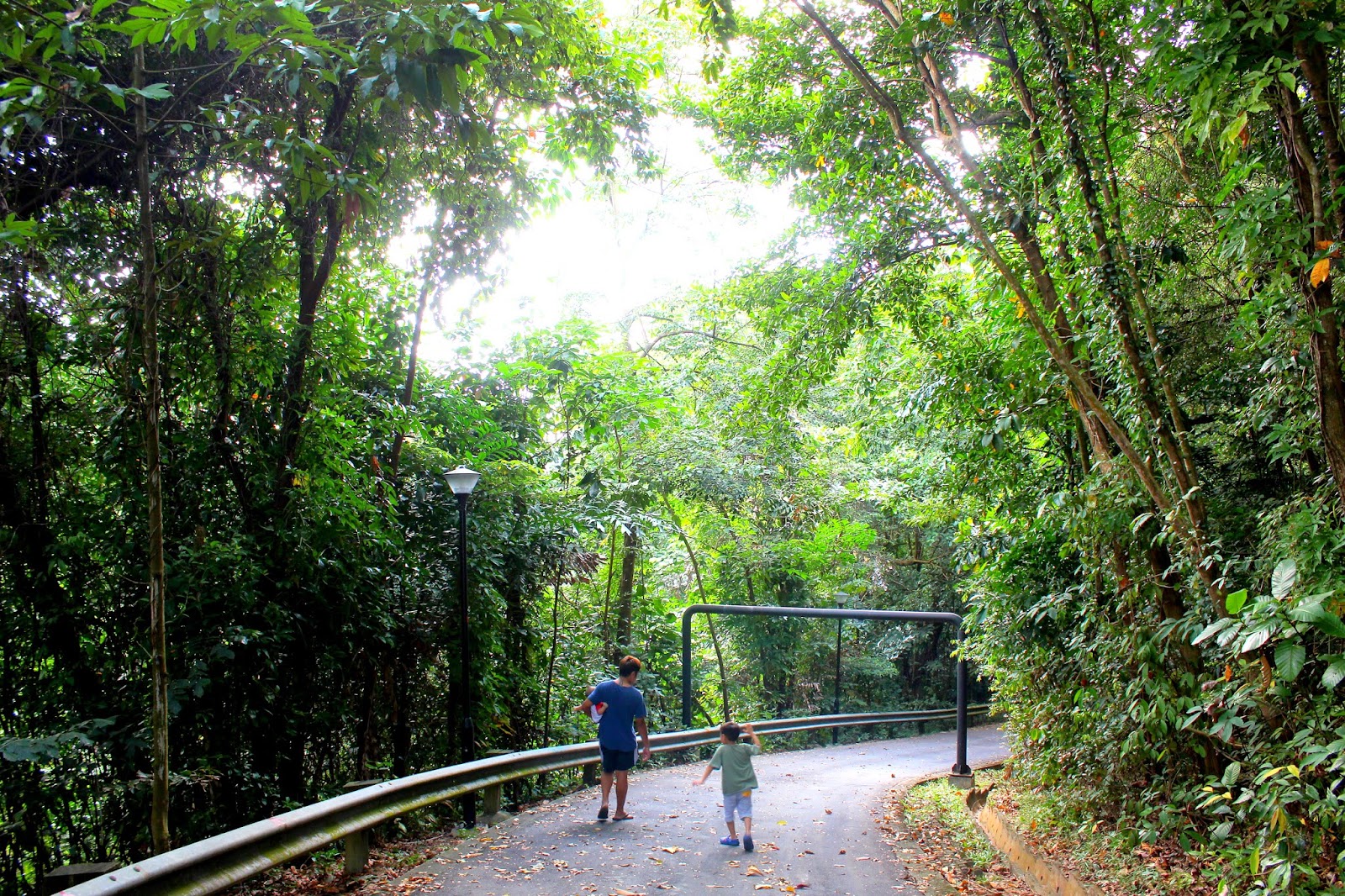 mount faber park