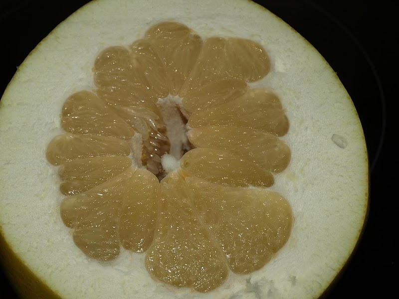 Viajar En Mi Nube Particular II Pomelo de China