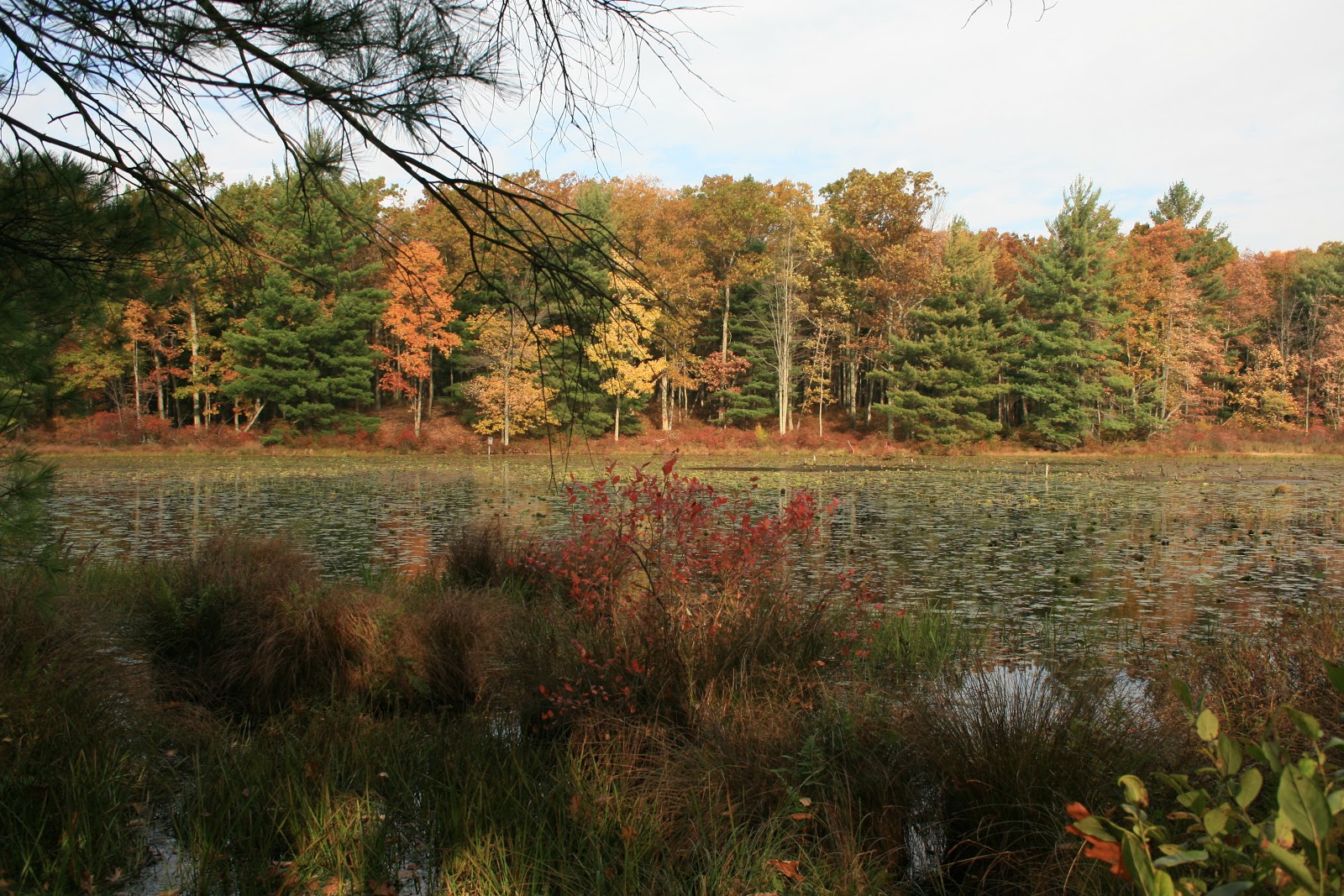 The Root Connection Quilting Retreat in Poconos