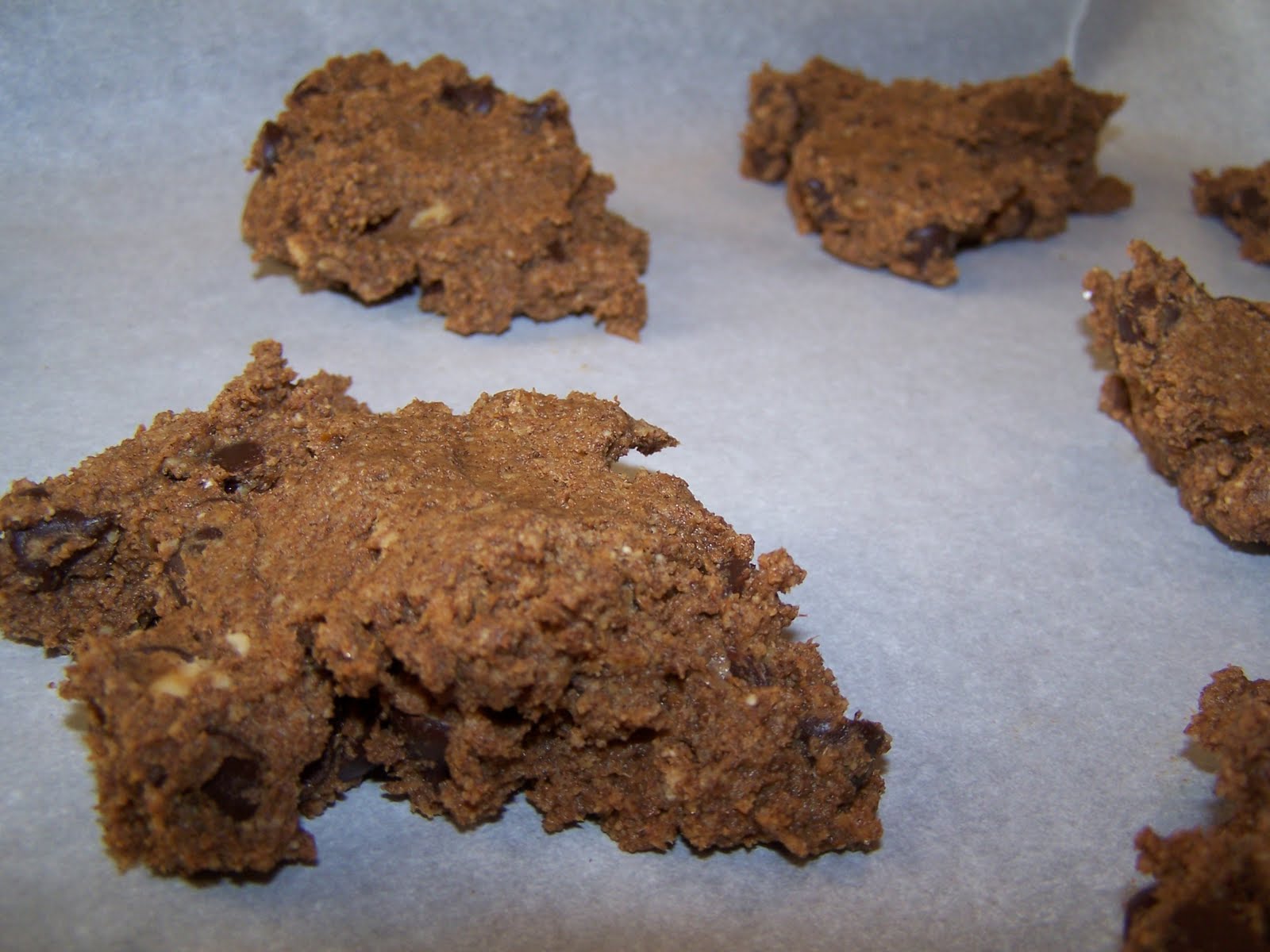 The Primal Junk Foodie: PJF Pumpkin Chocolate Chip Cookies