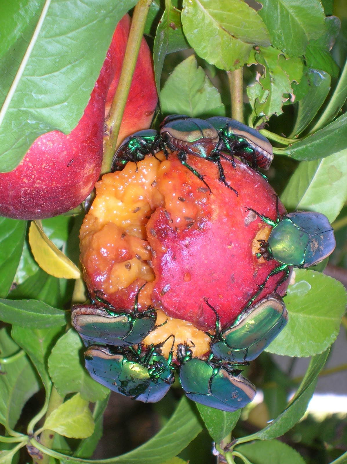 Gerushia's New World Unexpected Things And A GiveAway