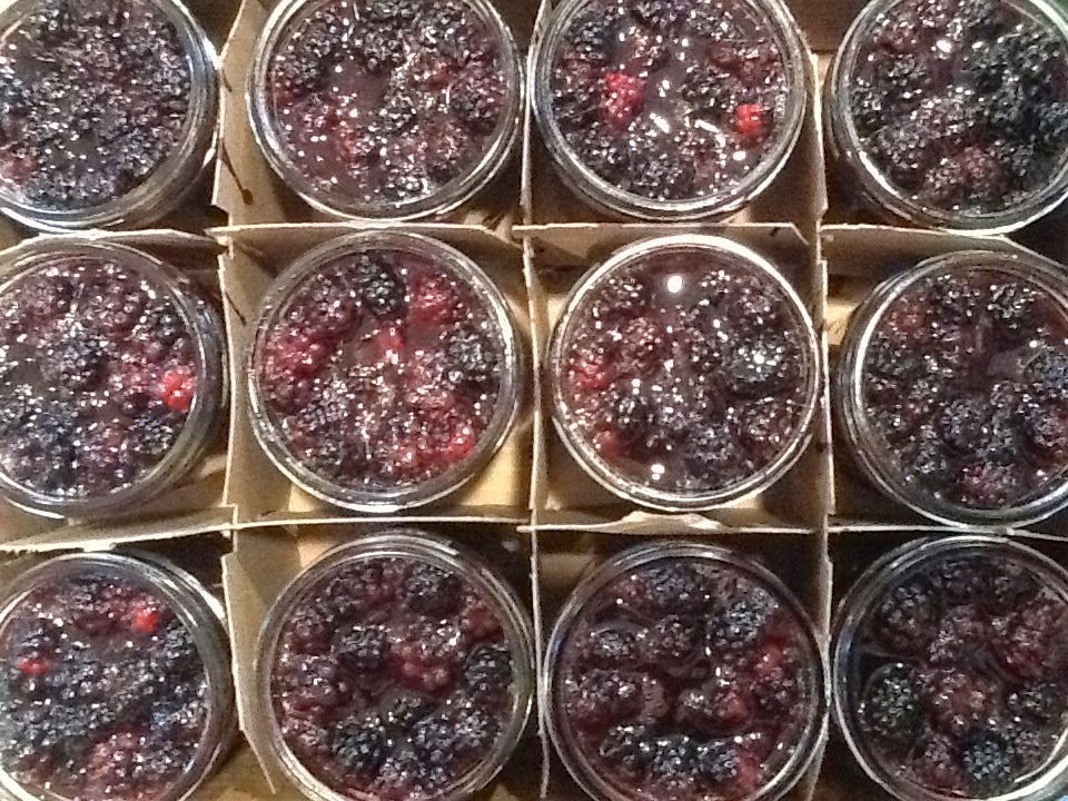 Southern Forager Raw Packed Wild Blackberries in Blackberry Sauce