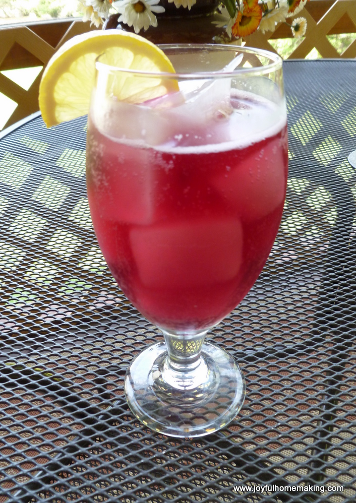 Make Your Own Sparkling Juices Joyful Homemaking