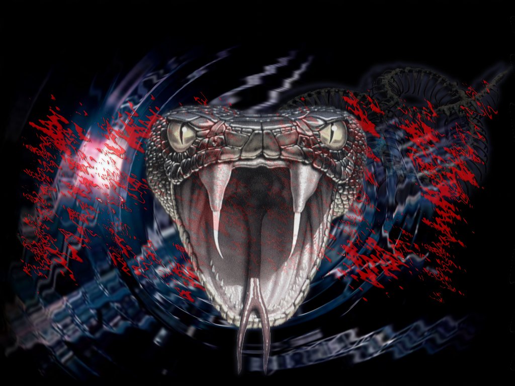 http://4.bp.blogspot.com/-2gyYrb9kFfI/UD8XK2kAKNI/AAAAAAAAALA/pljhTDODBtM/s1600/snake-fangs-venom-poison.jpg