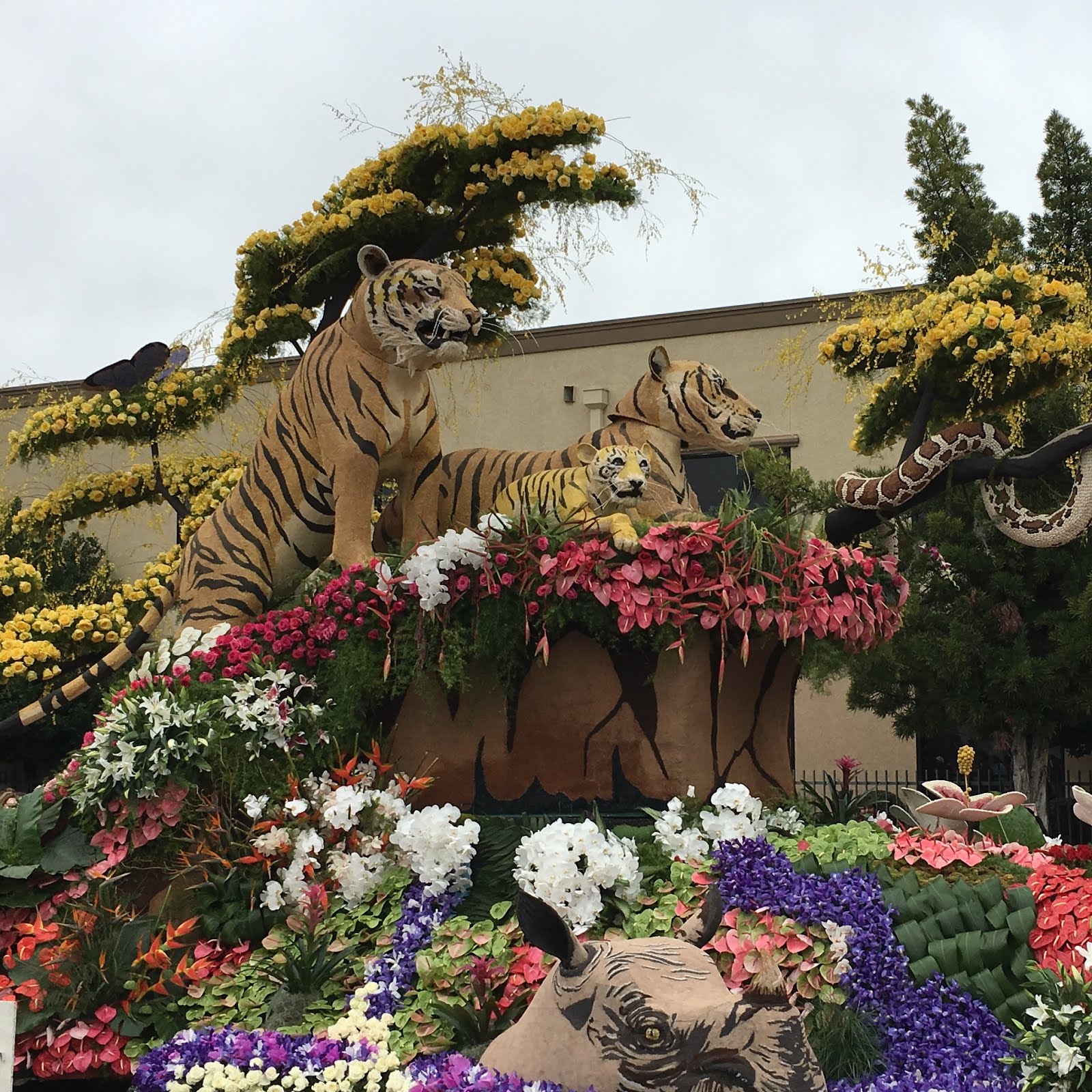 Experiencing Los Angeles Tournament of Roses The Rose Parade 2017