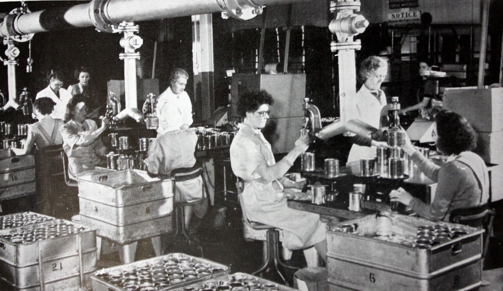 Tradescant Road and South Lambeth The Sugar Girls a talk at Tate