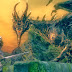 Dark Souls 2 : How to play & GamEplay