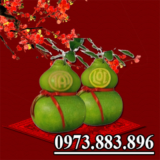 Bưởi Hồ Lô Tài Lộc Loại II Bưởi Hồ Lô Tài Lộc Loại II