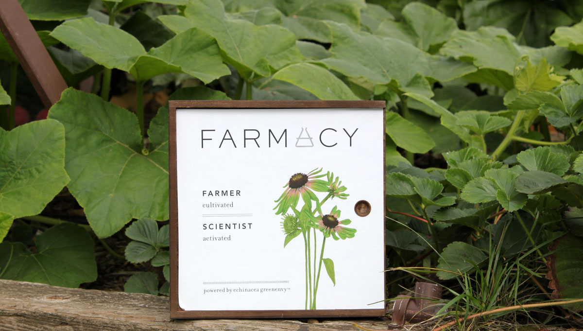 monroe misfit makeup beauty blog farmacy hydrating coconut gel farmacy sheet mask