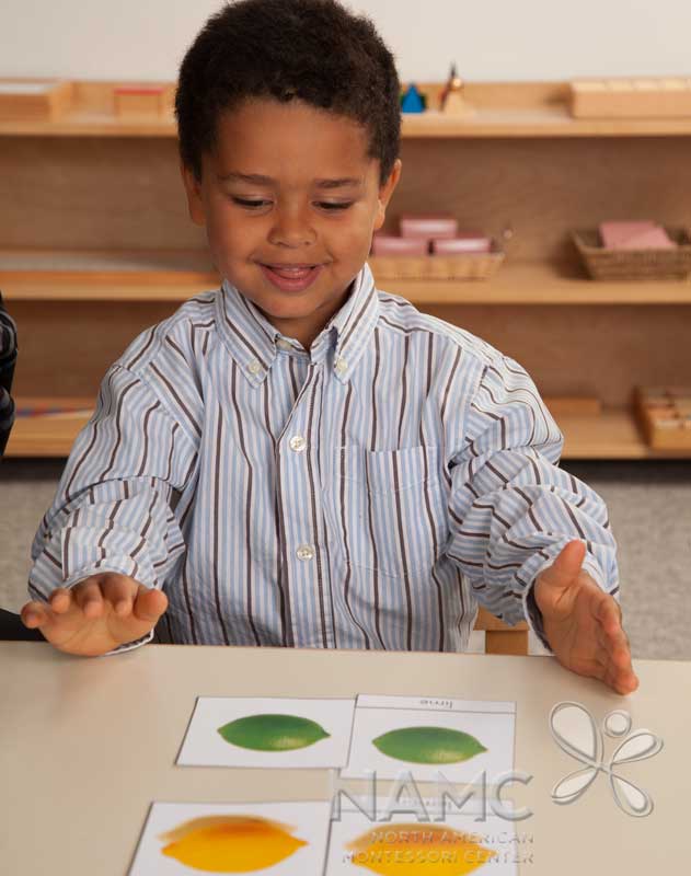NAMC Montessori Absorbent Mind ch 26 boy with nomenclature cards