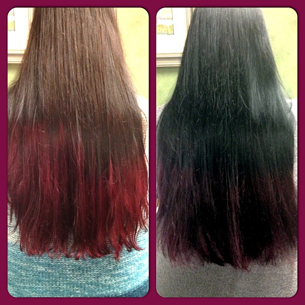 Hissycat Krissy Home Made Protein Hair Treatment