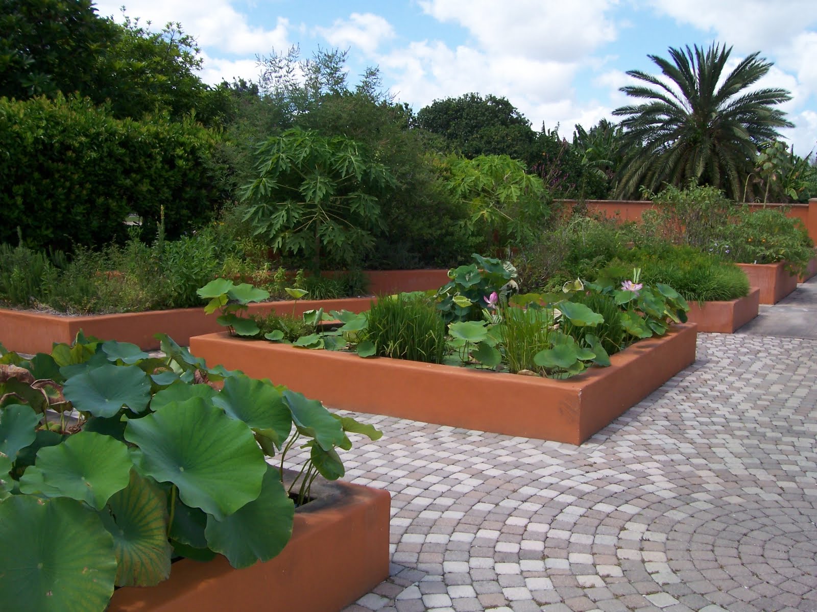 Fruit And Spice Park at Donald Schrock blog