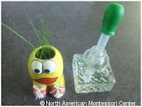 NAMC Montessori Preschool planting activities classroom ceramic duck grass hair
