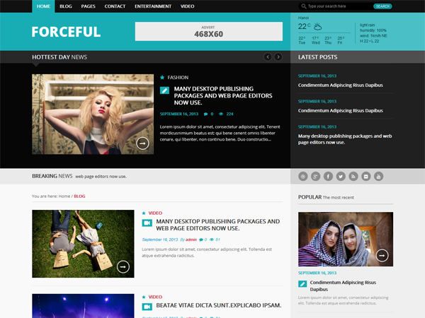 Forceful WordPress Theme Forceful WordPress Theme