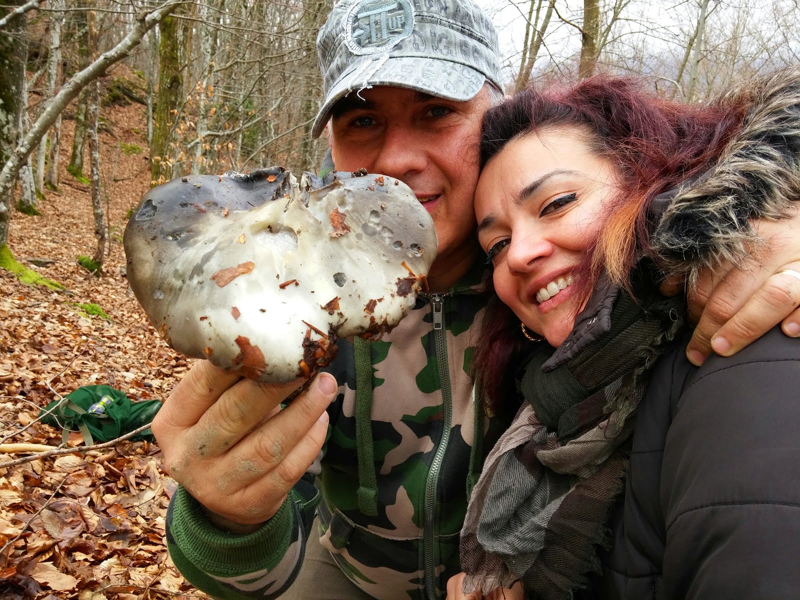 Hygrophorus Marzuolus.....