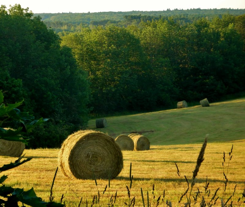 Enchanted Blue Hay Bale the documentary